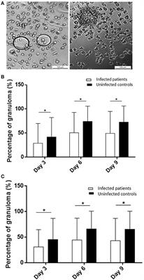 Defective Granuloma Formation in Elderly Infected Patients